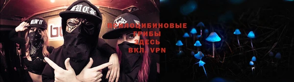 a pvp Кулебаки