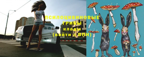 стаф Куйбышев