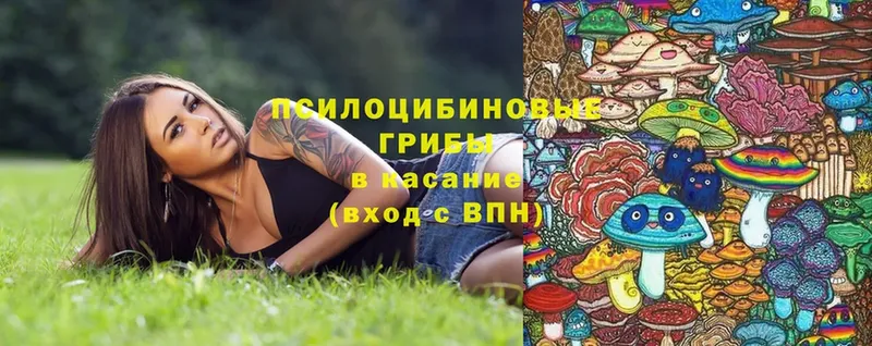 Галлюциногенные грибы Magic Shrooms  Вышний Волочёк 