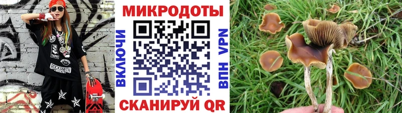 Галлюциногенные грибы MAGIC MUSHROOMS  hydra зеркало  Вышний Волочёк 